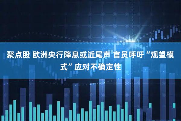 聚点股 欧洲央行降息或近尾声 官员呼吁“观望模式”应对不确定性