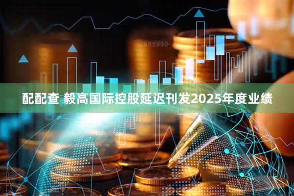 配配查 毅高国际控股延迟刊发2025年度业绩